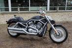Harley-Davidson VRSC V-Rod VRSCA V-Rod, Motoren, Motoren | Harley-Davidson, Chopper, Bedrijf, 1131 cc