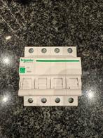 Schneider Electric automaal 4-polig 20A - Nieuw, Ophalen of Verzenden, Nieuw, Overige typen