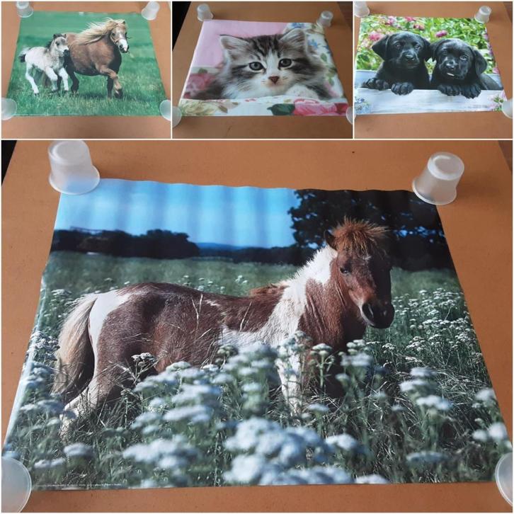 kleine posters  45 stuks deel 2, Verzamelen, Posters, Nieuw, Ophalen of Verzenden