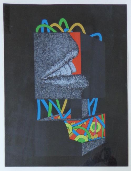 PAUL VAN HOEYDONCK / MOND / KLEURZEEFDRUK / 93x83cm / KADER, Antiek en Kunst, Kunst | Litho's en Zeefdrukken, Ophalen