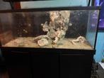 Red Sea 650, Dieren en Toebehoren, Vissen | Aquaria en Toebehoren, Ophalen, Gebruikt, Leeg aquarium