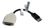 Dell/Amp Display Port - DVID Adapter Cable 23NVR-A, Ophalen of Verzenden, Zo goed als nieuw