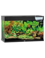 Aquarium 125L, Dieren en Toebehoren, Ophalen, Nieuw, Leeg aquarium