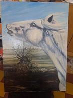 Peinture lahaye, Enlèvement ou Envoi