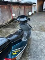 Honda spacy 125 roule très bien mais pas des papiers, Vélos & Vélomoteurs, Scooters | Peugeot, Enlèvement, Comme neuf