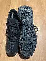 Zaalschoenen Nike maat 42, Enlèvement, Utilisé, Chaussures