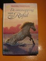 Leesboek De ontsnapping van rafael, Boeken, Zo goed als nieuw, Christine linneweever, Ophalen