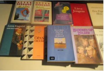 15 Prima Nederlandstalige Romans van bekende schrijvers beschikbaar voor biedingen