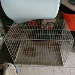 Grote hondenbench (Berner sennen), Dieren en Toebehoren, Ophalen, Zo goed als nieuw