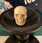 Antiek miniatuur doodshoofd Skull been, Ophalen of Verzenden