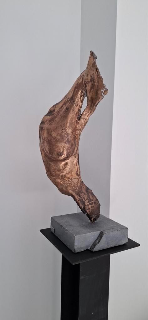 Statue « Body-Copy » en bronze de vous-même, Antiquités & Art, Antiquités | Bronze & Cuivre, Bronze, Enlèvement ou Envoi