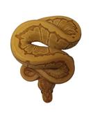 Ball python  caramel pinstripe het desert ghost 1.0, Animaux & Accessoires, Reptiles & Amphibiens