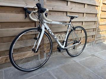 Dames meisjes Koers fiets maat 52 in perfecte staat, beschikbaar voor biedingen