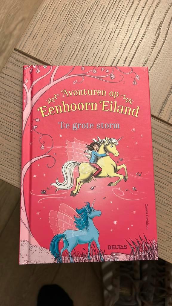 Zanna Davidson - De grote storm, Boeken, Kinderboeken | Jeugd | onder 10 jaar, Zo goed als nieuw, Fictie algemeen, Ophalen