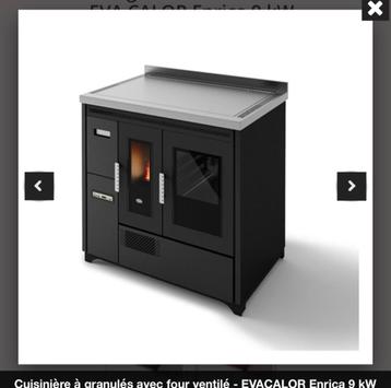 Poêle / cuisinière à pellets - pellets kachel fornuis beschikbaar voor biedingen