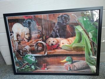 Ingekaderde puzzel met hondjes 50x70cm beschikbaar voor biedingen