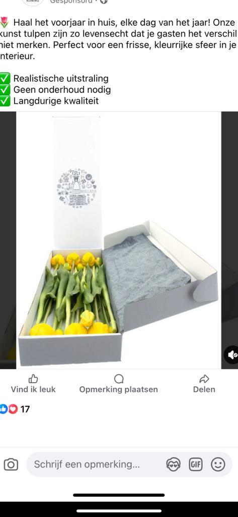 Tulpen in kunst kwaliteit, Huis en Inrichting, Woonaccessoires | Kunstplanten en Kunstbloemen, Zo goed als nieuw, Verzenden