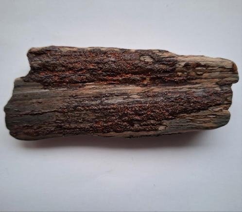 slagtand fragment Mammoet - 10 cm, Verzamelen, Mineralen en Fossielen, Fossiel, Ophalen of Verzenden