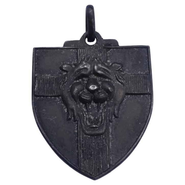 Belgisch leger - penning, Verzamelen, Militaria | Algemeen, Landmacht, Lintje, Medaille of Wings, Ophalen of Verzenden