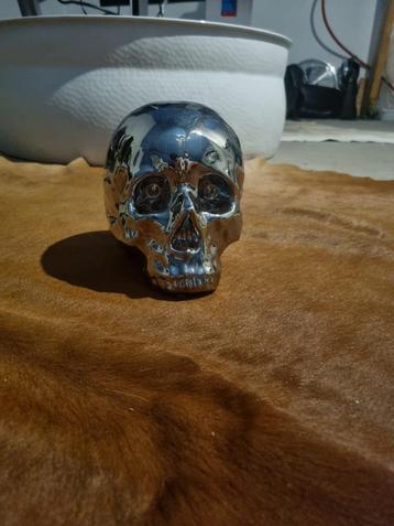 Skull spaarpot  beschikbaar voor biedingen