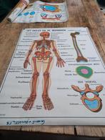 Schoolplaat, Antiek en Kunst, Ophalen