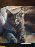 Kussensloop maine coon kat, Verzenden