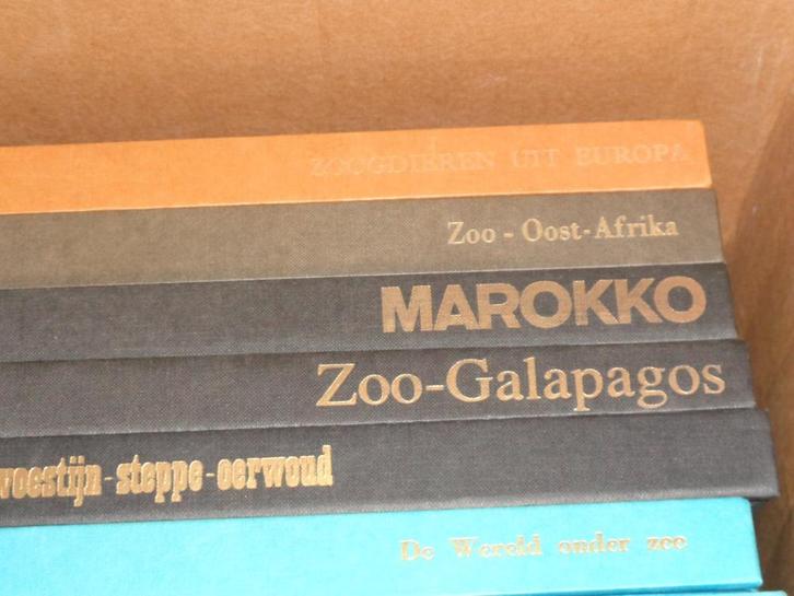 15 Artis boeken volledig, Boeken, Prentenboeken en Plaatjesalbums, Zo goed als nieuw, Prentenboek, Ophalen