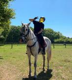 Prachtige en super lieve merrie, Springpaard, L, 7 tot 10 jaar, 160 tot 165 cm