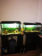 Juwel Aquarium, Dieren en Toebehoren, Ophalen, Gebruikt, Grind, Zand of Voedingsbodem