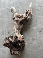 Olive Wood Stump, Ophalen, Nieuw, Minder dan 200 cm