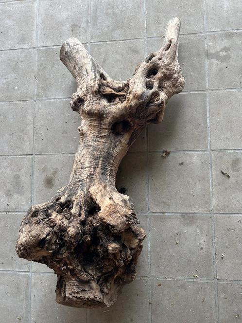 Olive Wood Stump, Doe-het-zelf en Bouw, Hout en Planken, Nieuw, Minder dan 200 cm, Ophalen
