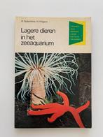 Lagere dieren in het zeeaquarium, Enlèvement ou Envoi, Utilisé, Poissons