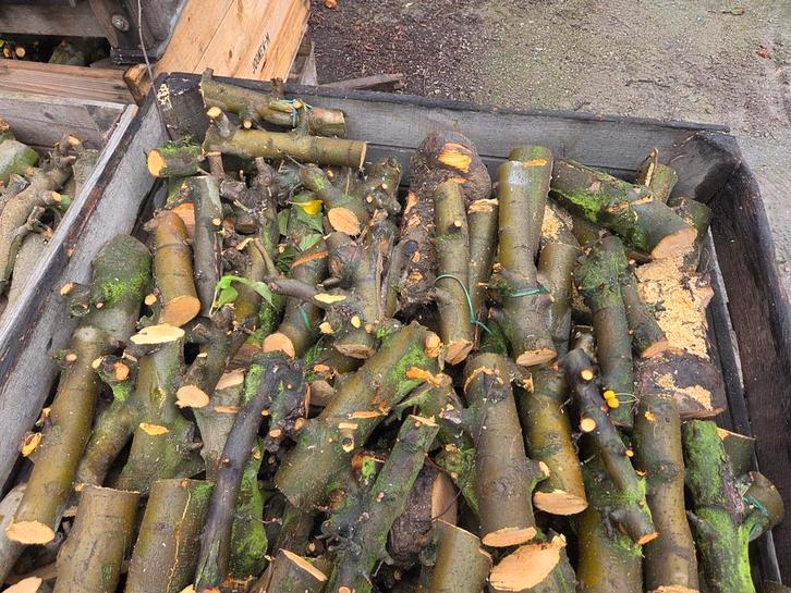 Brandhout, Tuin en Terras, Brandhout, Ophalen