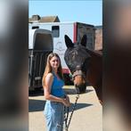 Leasepaard/ volle stal gezocht, Animaux & Accessoires, Chevaux, Plusieurs animaux