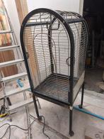 Cage perroquet ou grosse perruche, Animaux & Accessoires, Enlèvement