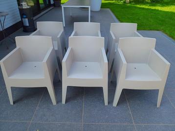 6 stoelen Driade Toy design Starck (nieuw)
