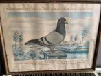 Kaders, Antiek en Kunst, Curiosa en Brocante, Ophalen