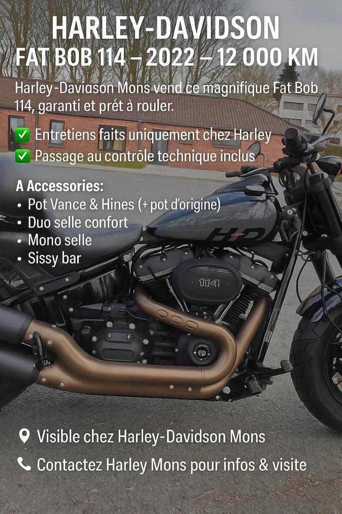 Harley-Davidson Fat Bob 114, Motoren, Onderdelen | Harley-Davidson, Nieuw, Ophalen