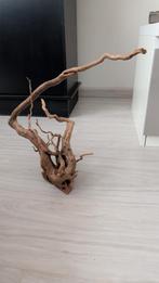 Natuurlijke wortel voor aquarium/aquascaping, Ophalen, Nieuw, Plant(en), Steen of Hout