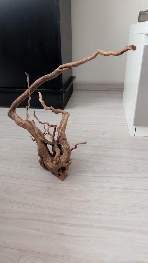 Natuurlijke wortel voor aquarium/aquascaping, Dieren en Toebehoren, Vissen | Aquaria en Toebehoren, Nieuw, Plant(en), Steen of Hout