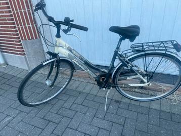 Gewone Harvard  en Montego NL  en Limit beschikbaar voor biedingen