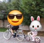 Follow-me aanhangadapter voor kinderfiets, Fietsen en Brommers, Fietsaccessoires | Bagagedragers, Ophalen, Gebruikt