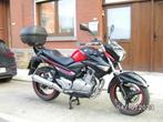 Suzuki 250 GW Inazuma, Motoren, Motoren | Suzuki, Toermotor, Particulier, 250 cc, 1 cilinder