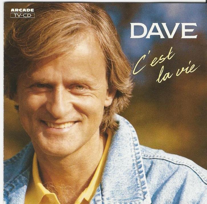 Dave ‎– C'est la vie = 3,99, Cd's en Dvd's, Cd's | Franstalig, Zo goed als nieuw, Verzenden