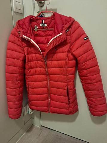 Vest "Tommy hilfiger" beschikbaar voor biedingen