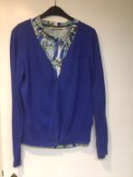 amper gedragen gilet van CKS ta L, Blauw, Maat 42/44 (L), Ophalen of Verzenden, Zo goed als nieuw