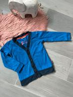 Jongens gilet, Ophalen of Verzenden, Zo goed als nieuw