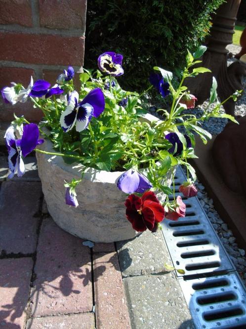 plantenbak, ronde blauwe stenen container, grote keuze aan c, Tuin en Terras, Bloembakken en Plantenbakken, Gebruikt, Steen, Binnen