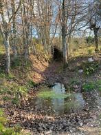 Portugees perceel (met geregistreerde ruïne en documenten), Immo, Kavel of Perceel, Oliveira Do Hospital, Portugal, Landelijk