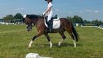 Super brave b-pony!, Dieren en Toebehoren, Pony's, B, Dressuurpony, B pony (1.17m tot 1.27m), 11 jaar of ouder
